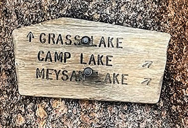 grass lake